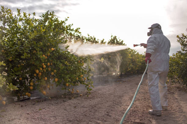 Best Bed Bug Extermination  in Baltic, SD