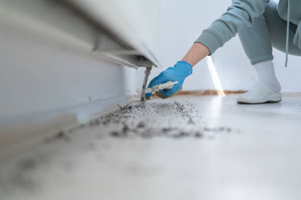 Best Pest Prevention Services  in Baltic, SD