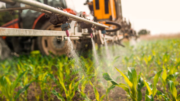 Best Wildlife Control Services  in Baltic, SD