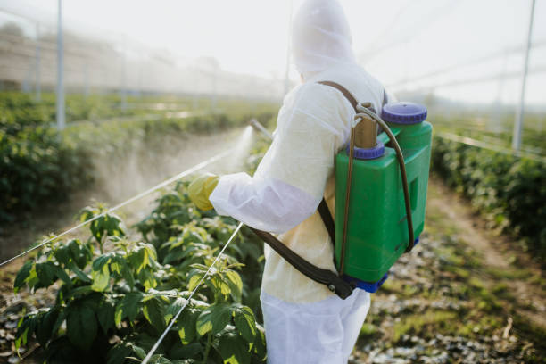 Best Pest Control Near Me  in Baltic, SD